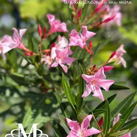 La Maison - Your For 4 Seasons 公寓 格勒姆