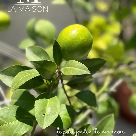 La Maison - Your For 4 Seasons 公寓