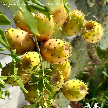 Daire La Maison - Sea & Petit En Bois For 4 Seasons *