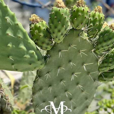 La Maison - Your For 4 Seasons 公寓