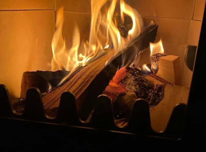 La Maison - Your For 4 Seasons *