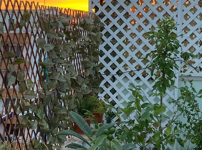 La Maison - Your For 4 Seasons *