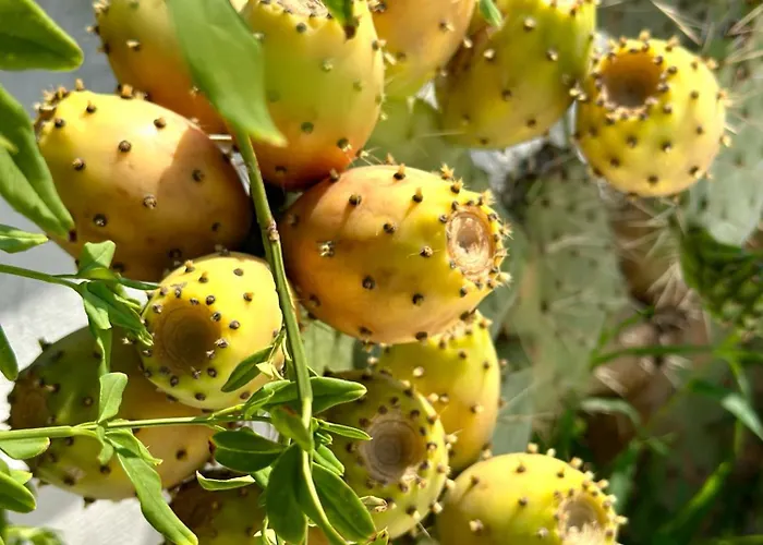 Апартаменты La Maison - Your For 4 Seasons *