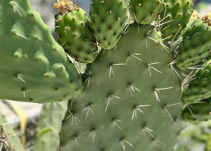 La Maison - Your For 4 Seasons Апартаменты